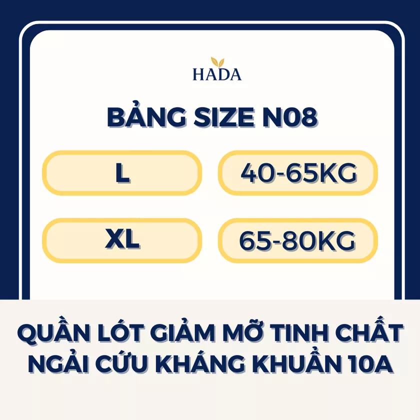 Bảng size quần lót ngải cứu